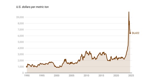 மெல்ல இறங்கி வரும் உச்சத்தை தொட்ட கொக்கோ விலை