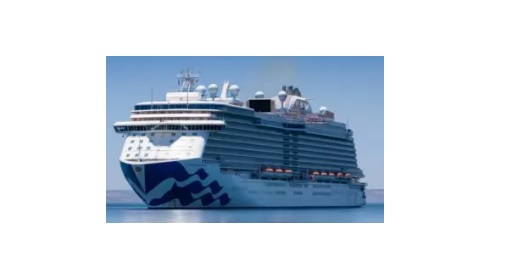 Cruise கப்பலில் 800 பேருக்கு COVID தொற்று