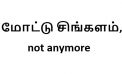 மோட்டு சிங்களம், not anymore