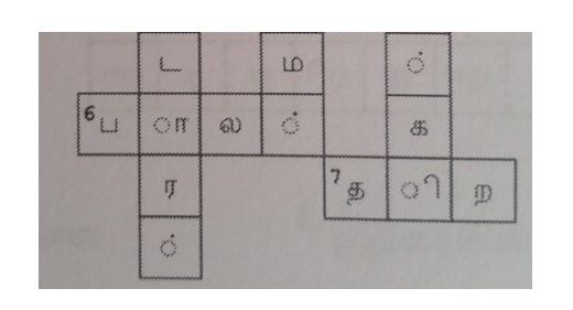 தமிழை வெட்டி குதறிய கனேடிய Amazon