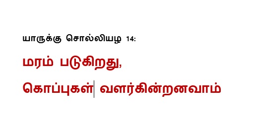 யாருக்கு சொல்லியழ 14: மரம் படுகிறது, கொப்புகள் வளர்கின்றனவாம்