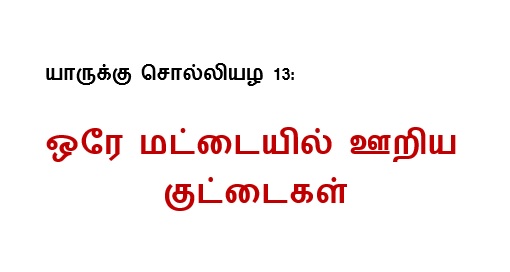 யாருக்கு சொல்லியழ 13: ஒரே மட்டையில் ஊறிய குட்டைகள்